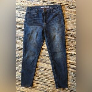 Classic Blue Denim Jeans
Wallflower Indigo Denim